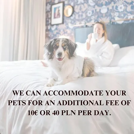 Lumina Spacious With Parking In * Βαρσοβία