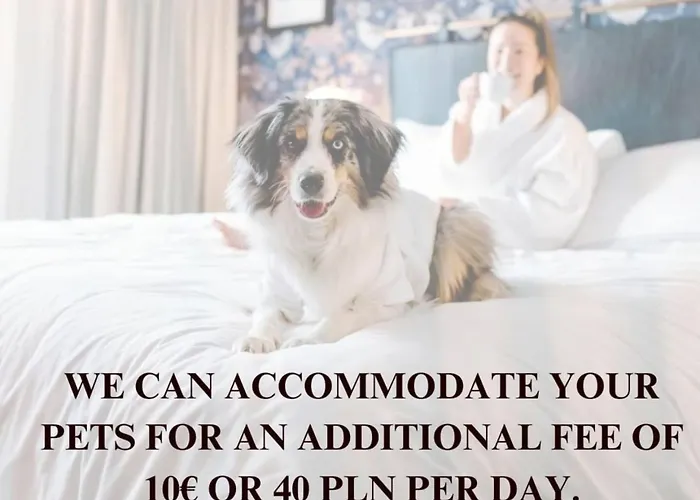 Lumina Spacious With Parking In * Warsaw